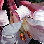 Paintings by Pippa Shennan